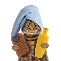 Баня и почистване