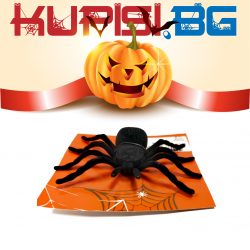 ДЕКОРАТИВЕН ПАЯК ЗА ХЕЛОУИН