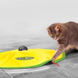 ЗАБАВНА ИНТЕРАКТИВНА ИГРА ЗА КОТКА ЗАБАВНА ИНТЕРАКТИВНА ИГРА ЗА КОТКА