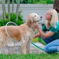 ОБРЪЧ ЗА КЪПАНЕ НА КУЧЕ ОБРЪЧ ЗА КЪПАНЕ НА КУЧЕ
