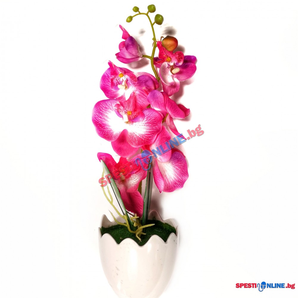 Декоративно цвете в саксия "Орхидея"