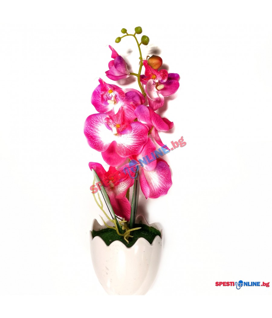 Декоративно цвете в саксия "Орхидея"