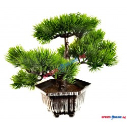 Декоративно цвете в саксия "Бонзай"