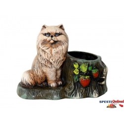 САКСИЯ С КОТЕ