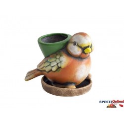 САКСИЯ С ПИЛЕ