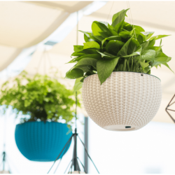 ВИСЯЩА САКСИЯ