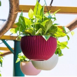 ВИСЯЩА САКСИЯ